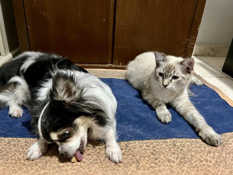 Kevin uploaded   364  day/s  ago