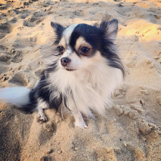 Kevin uploaded   1 year/s ago