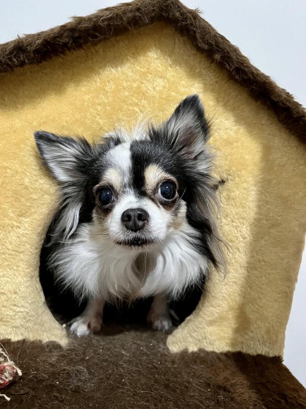 Kevin uploaded   1 year/s ago