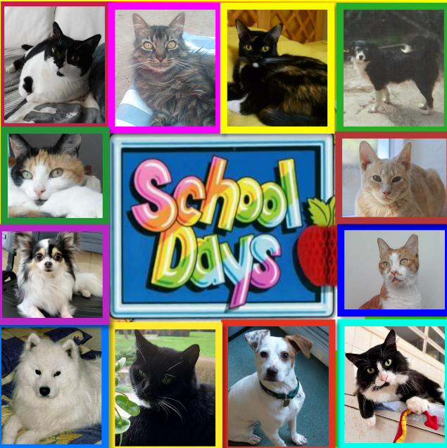 Sony of the Kevin family