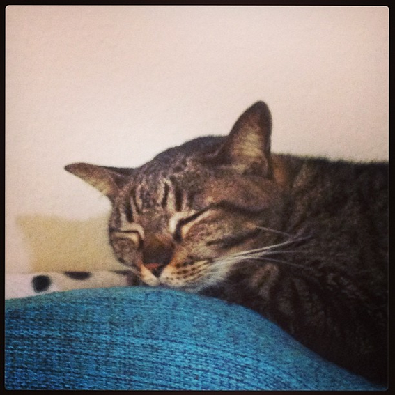 Kevin uploaded   1 year/s ago