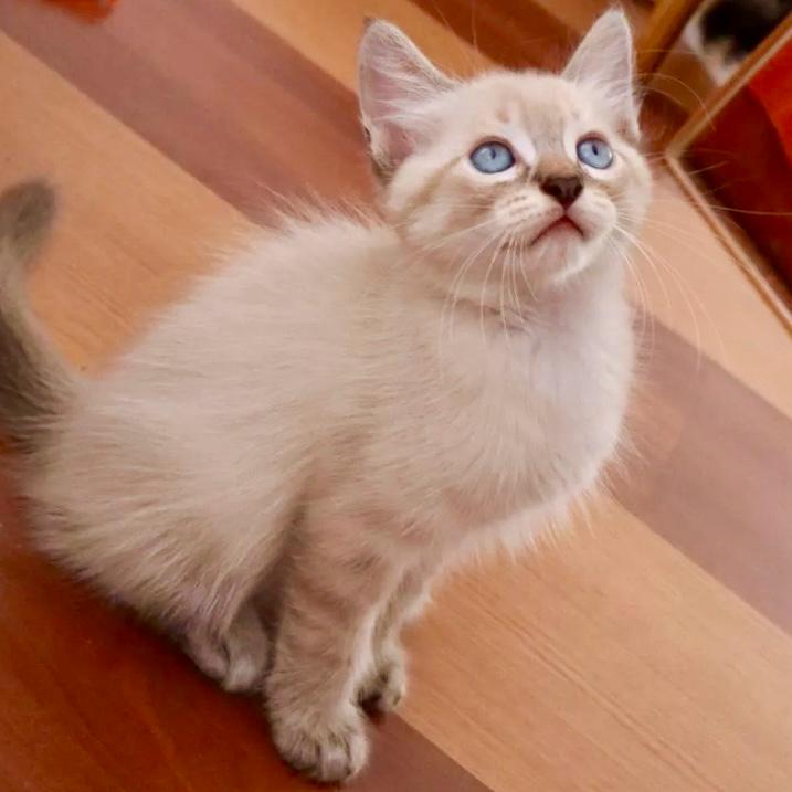 Kevin uploaded   1 year/s ago