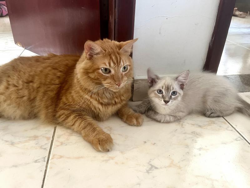 Kevin uploaded   1 year/s ago