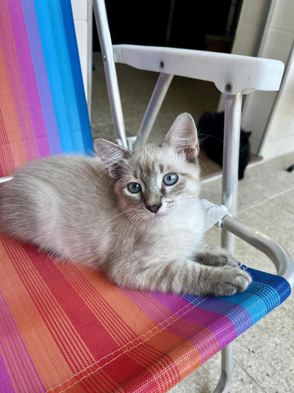 Kevin uploaded   1 year/s ago