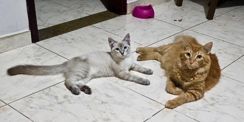 Kevin uploaded   1 year/s ago