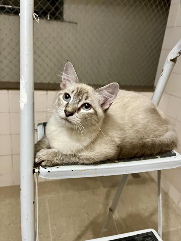 Kevin uploaded   1 year/s ago