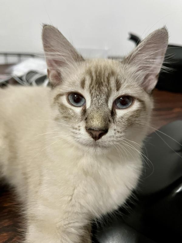 Kevin uploaded   1 year/s ago