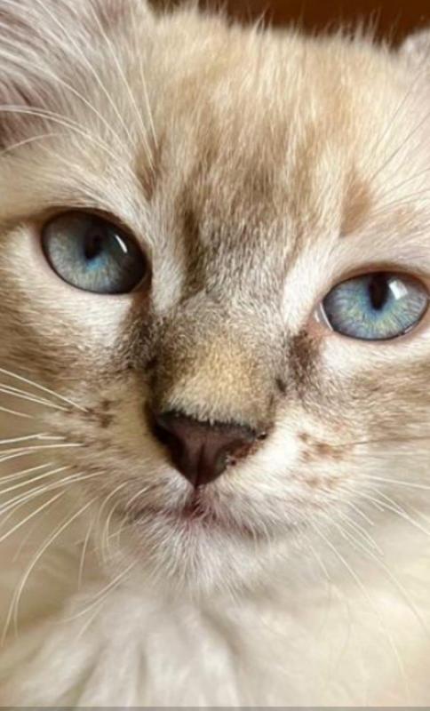 Kevin uploaded   1 year/s ago