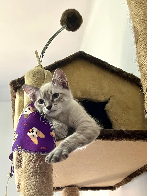 Kevin uploaded   345  day/s  ago