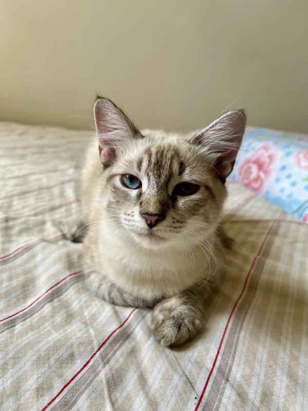 Kevin uploaded   1 year/s ago