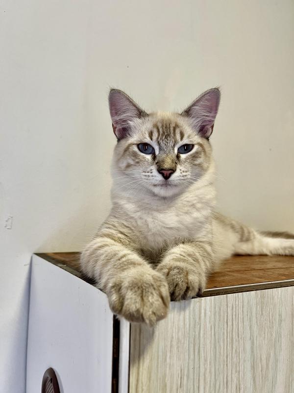 Kevin uploaded   1 year/s ago