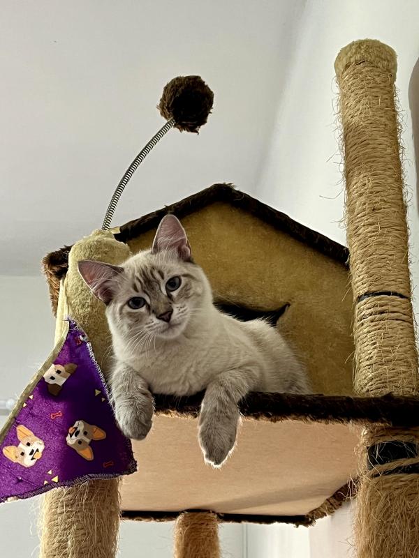 Kevin uploaded   1 year/s ago