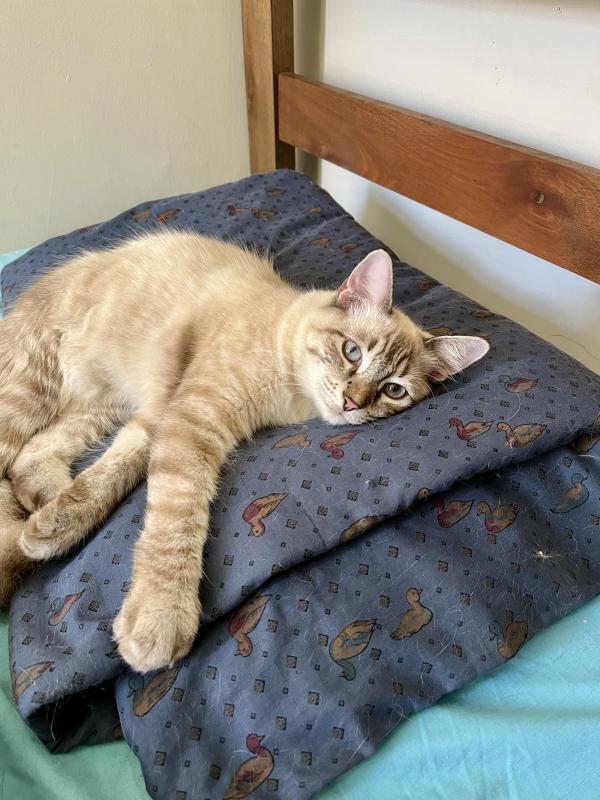 Kevin uploaded   345  day/s  ago