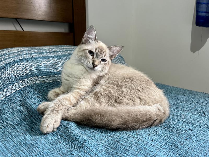 Kevin uploaded   361  day/s  ago