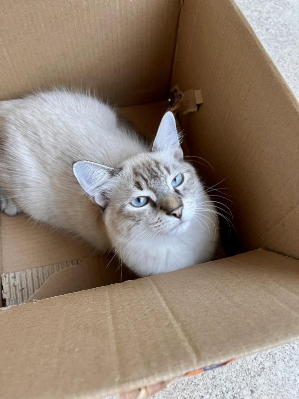 Kevin uploaded   358  day/s  ago