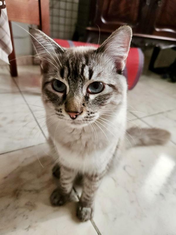 Kevin uploaded   241  day/s  ago