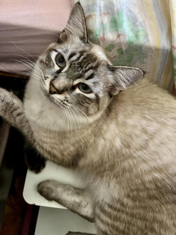 Kevin uploaded   262  day/s  ago