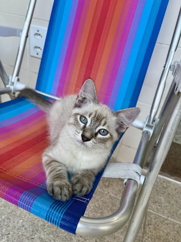 Kevin uploaded   1 year/s ago