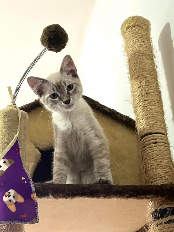 Kevin uploaded   1 year/s ago