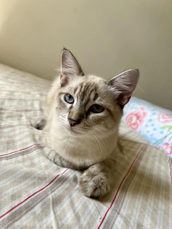 Kevin uploaded   1 year/s ago