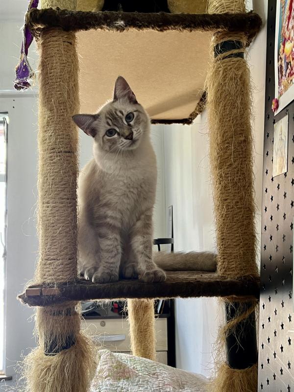 Kevin uploaded   1 year/s ago