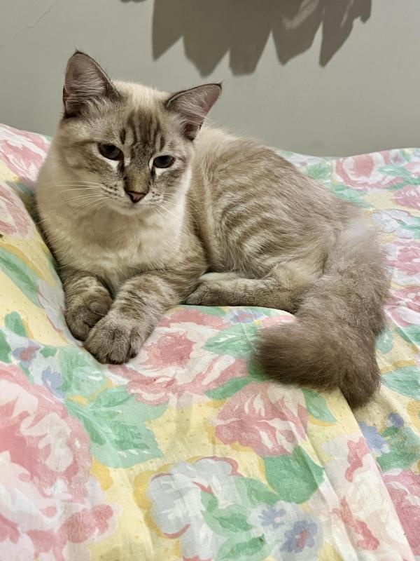 Kevin uploaded   352  day/s  ago