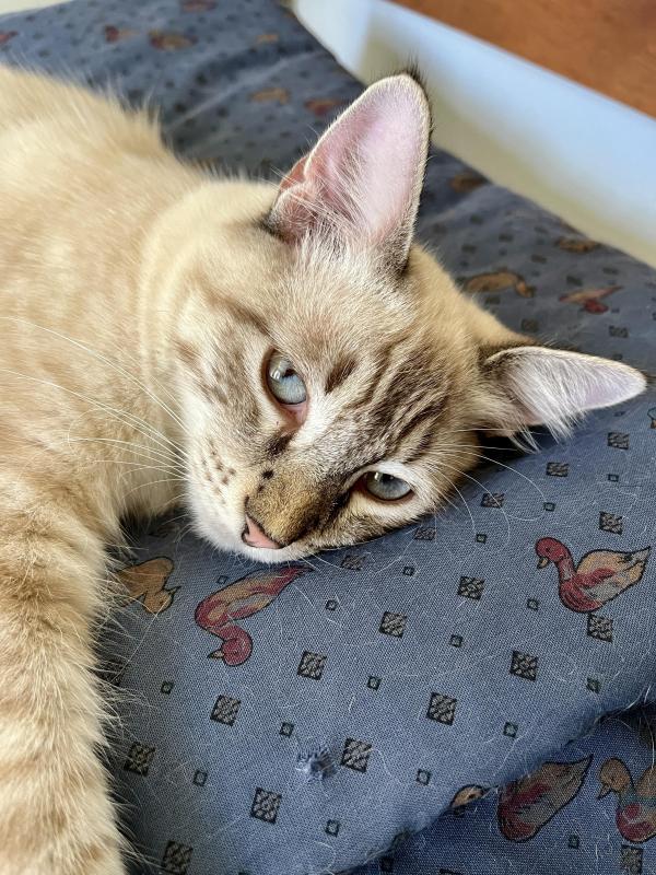 Kevin uploaded   345  day/s  ago