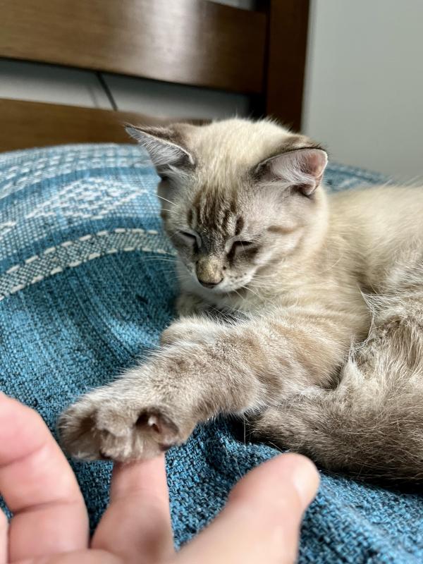 Kevin uploaded   361  day/s  ago