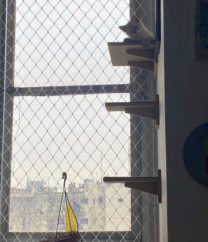 Kevin uploaded   361  day/s  ago