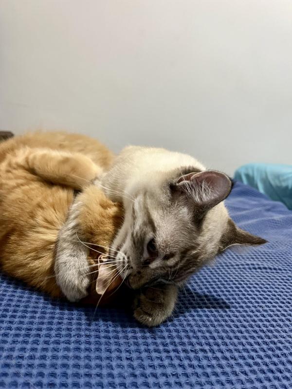 Kevin uploaded   343  day/s  ago