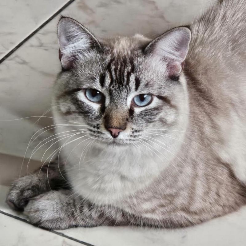 Kevin uploaded   241  day/s  ago