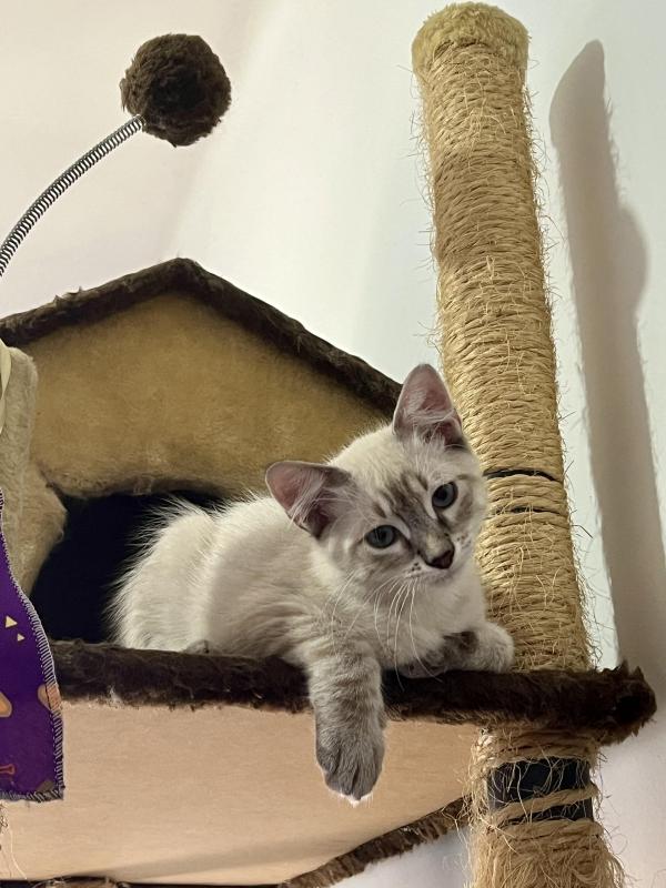 Kevin uploaded   1 year/s ago