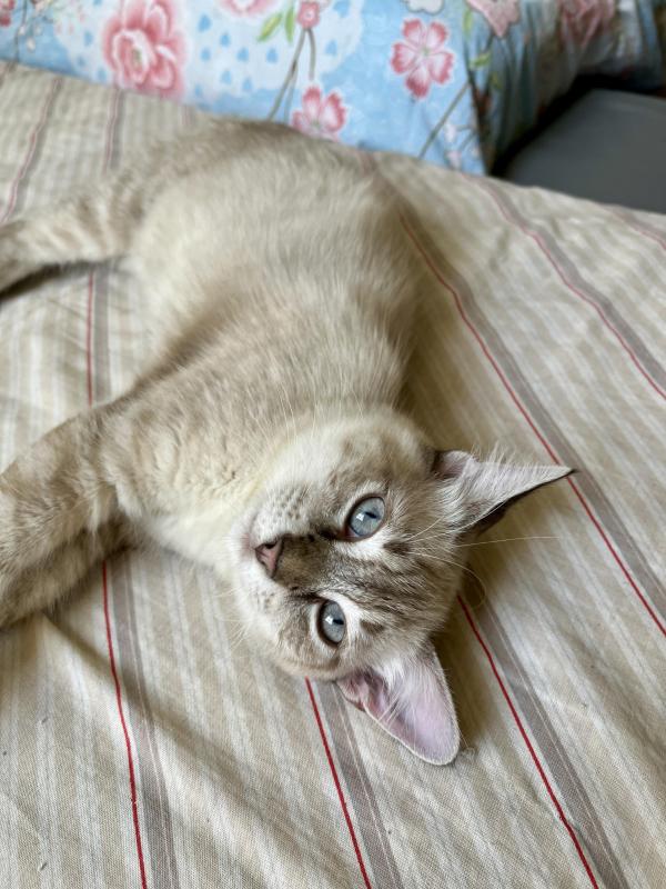 Kevin uploaded   1 year/s ago