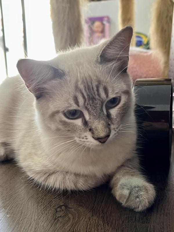 Kevin uploaded   1 year/s ago