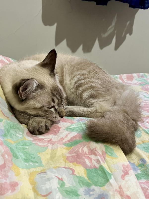 Kevin uploaded   352  day/s  ago