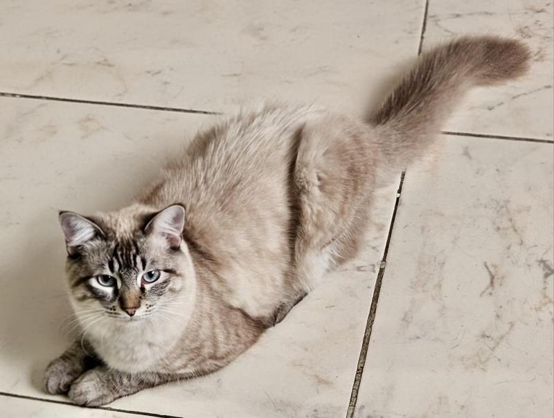 Kevin uploaded   241  day/s  ago