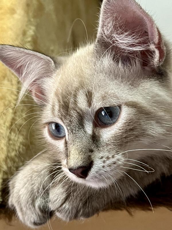 Kevin uploaded   345  day/s  ago