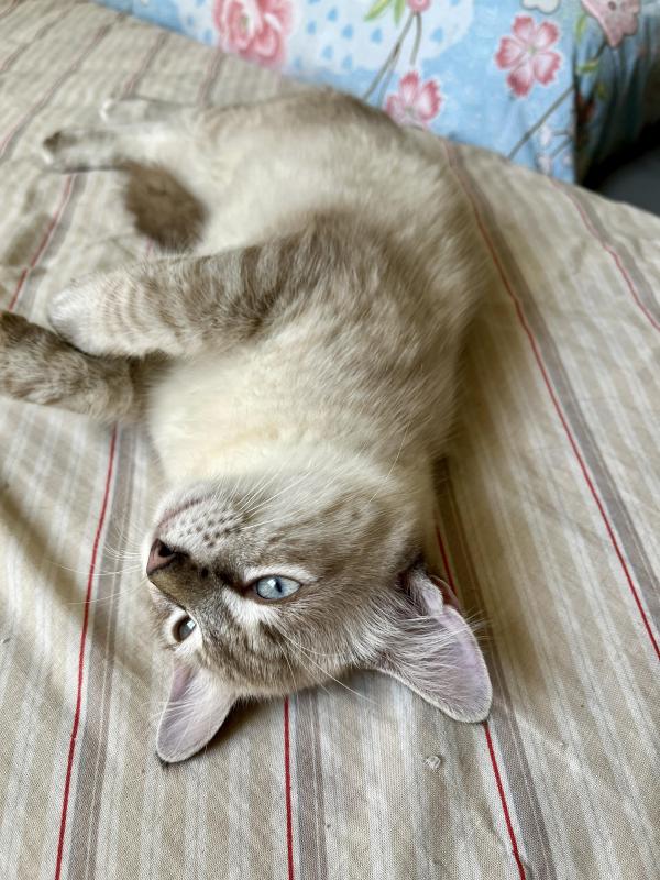 Kevin uploaded   1 year/s ago