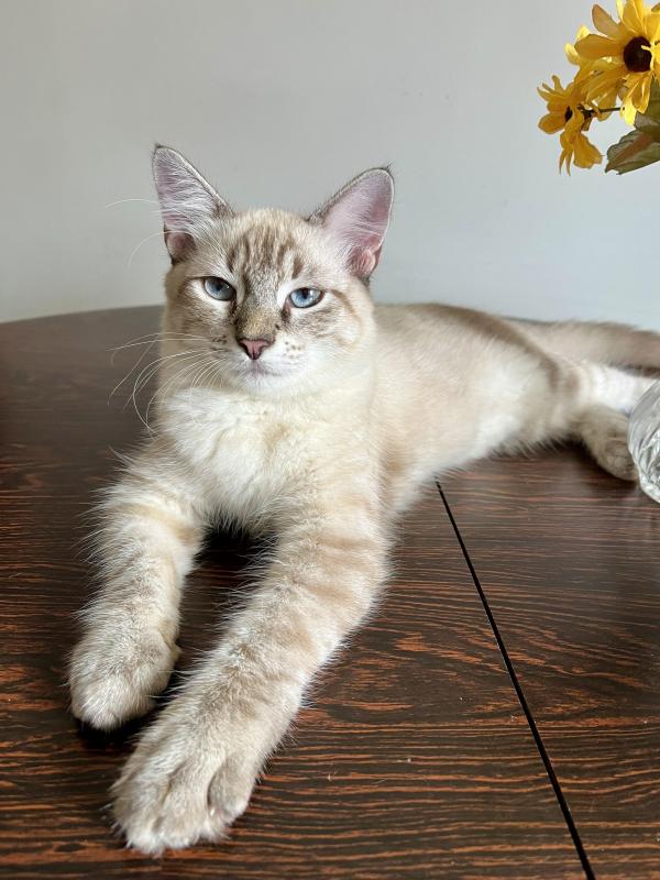 Kevin uploaded   1 year/s ago