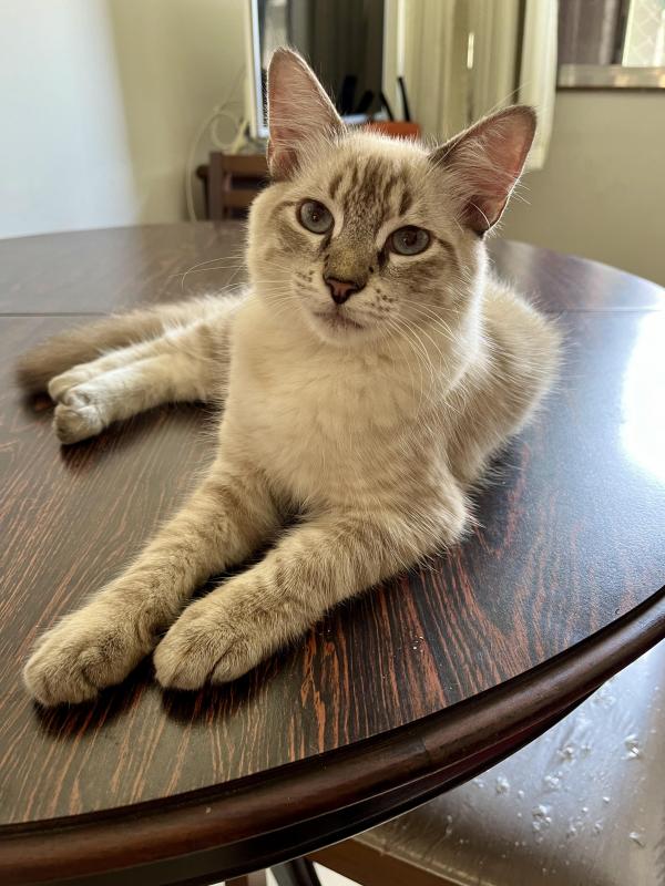 Kevin uploaded   361  day/s  ago