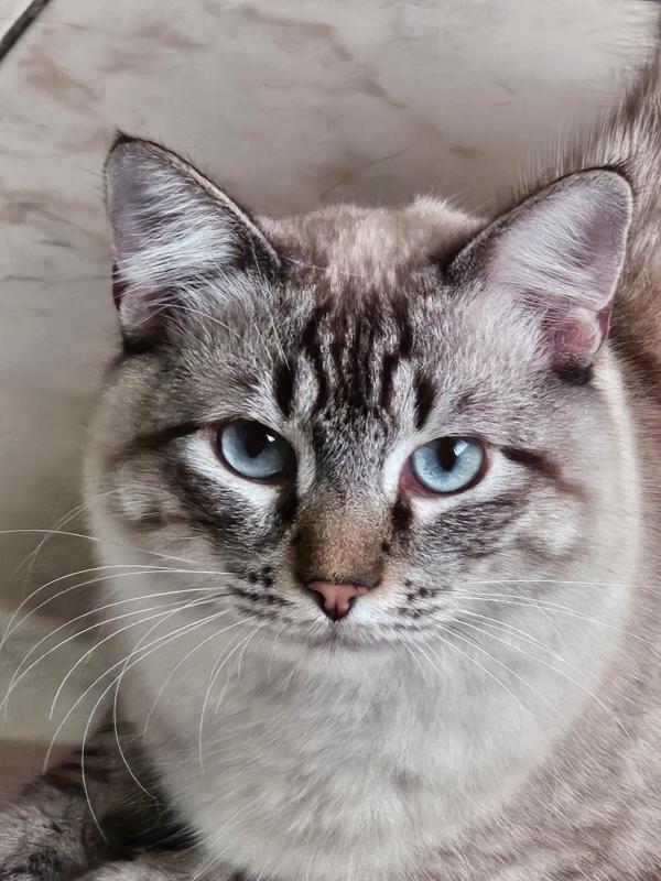 Kevin uploaded   241  day/s  ago