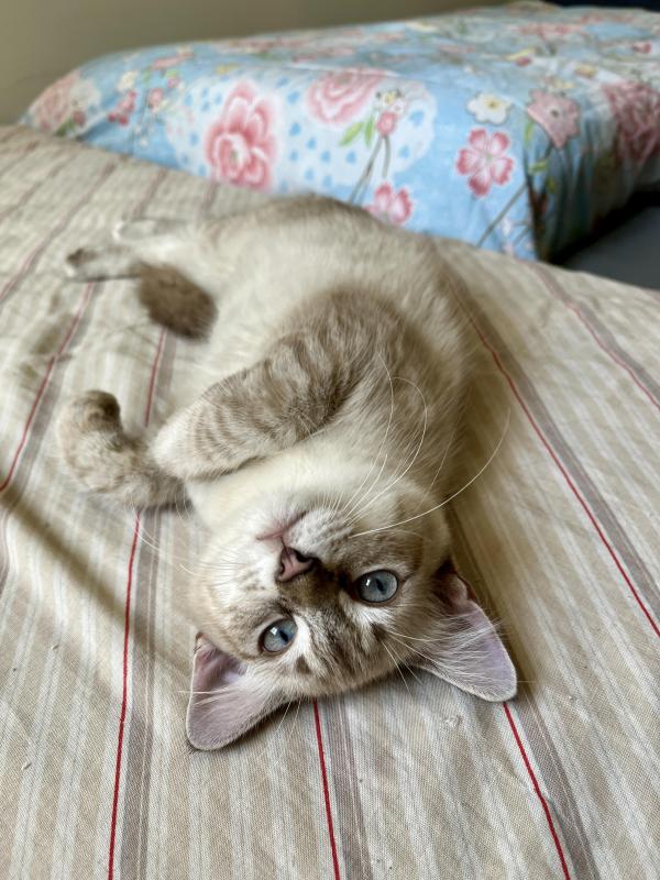 Kevin uploaded   1 year/s ago