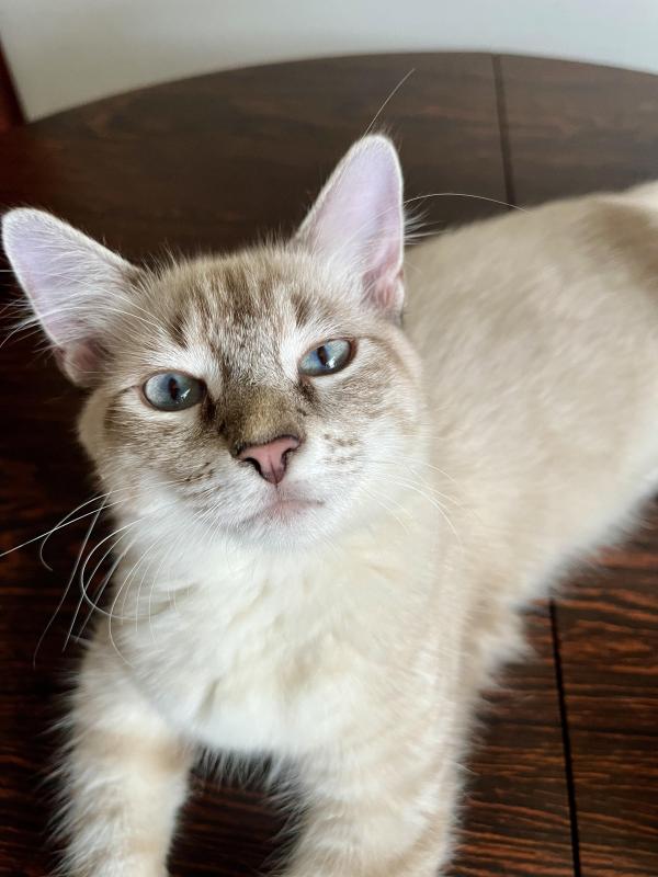 Kevin uploaded   1 year/s ago