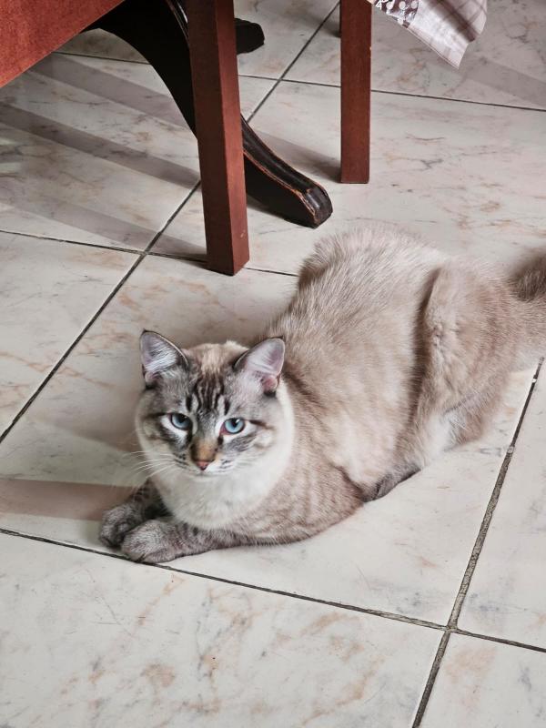 Kevin uploaded   241  day/s  ago