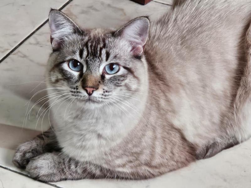 Kevin uploaded   168  day/s  ago