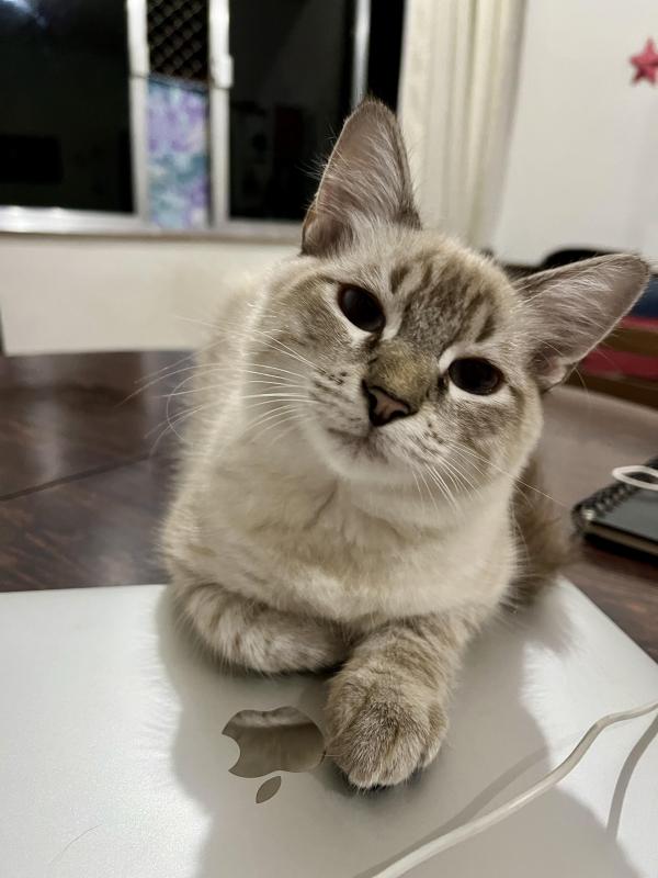 Kevin uploaded   361  day/s  ago