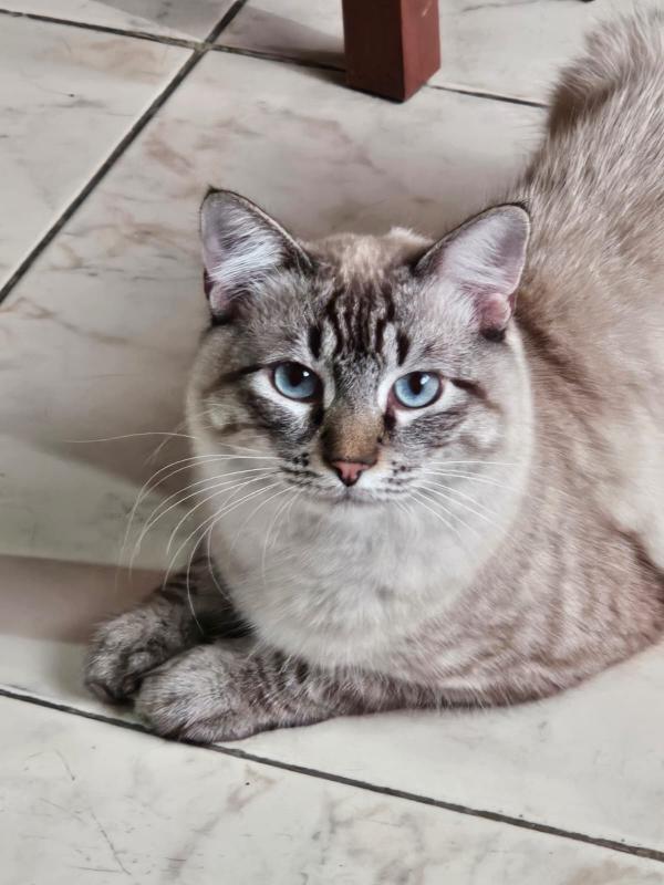 Kevin uploaded   241  day/s  ago