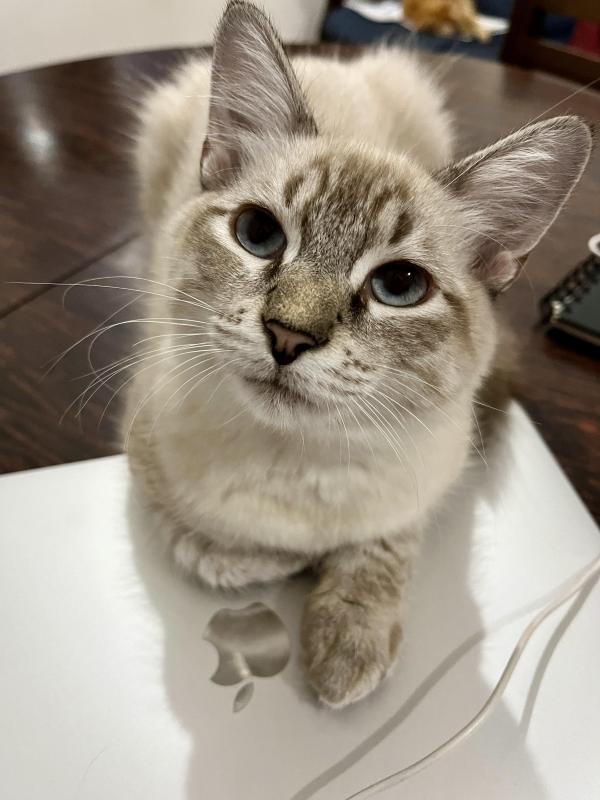 Kevin uploaded   361  day/s  ago