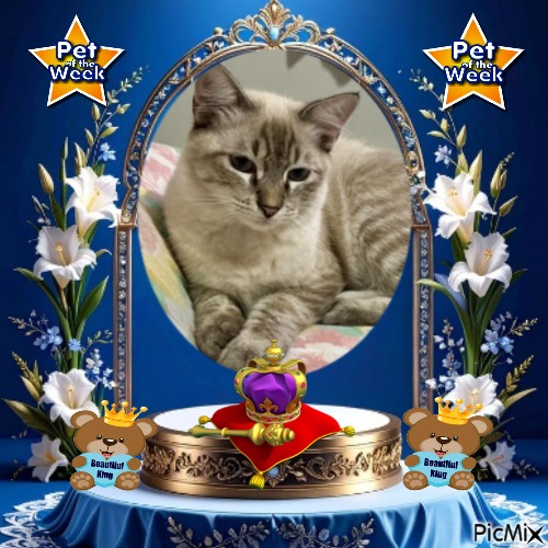 Jack of the Kevin family