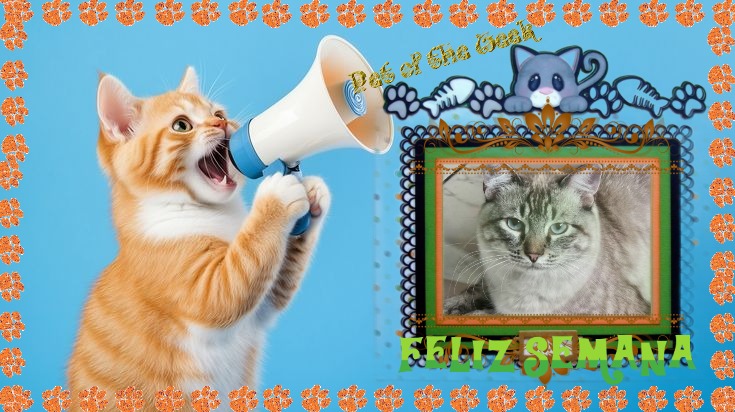 Jack of the Kevin family